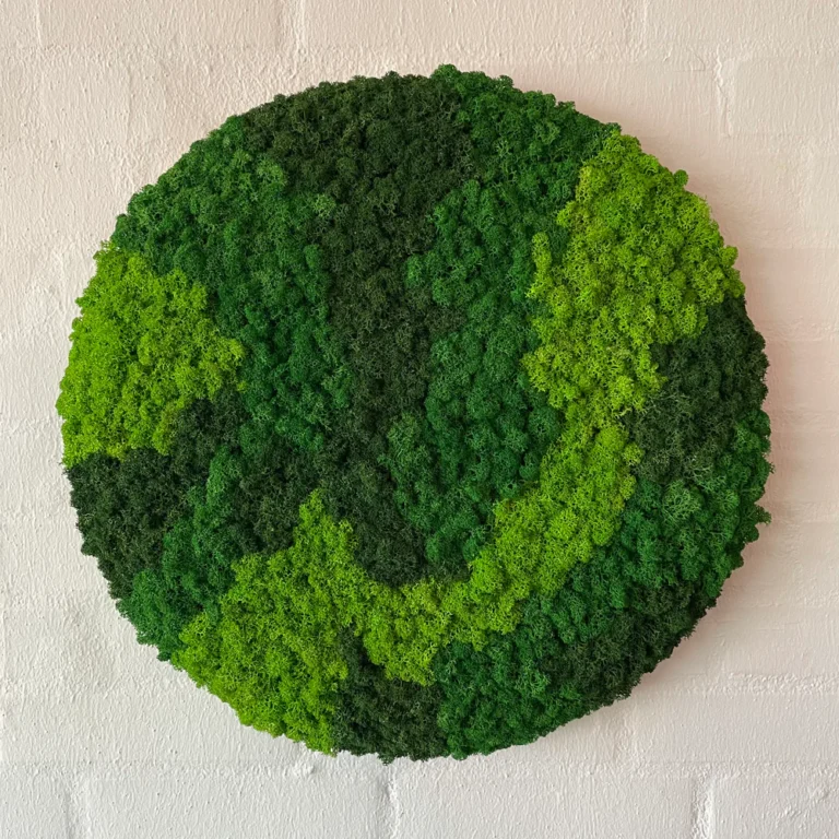 Blandet-mos-cirkel-3-farver-groen mospanel mosvæg mosbilleder