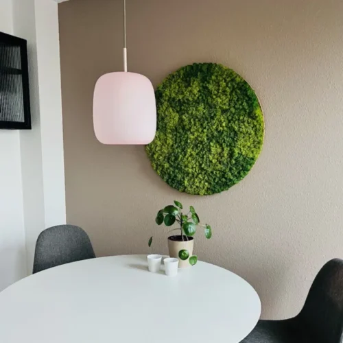 OEKOBOARD Premium mosbillede - Blandet mos cirkel